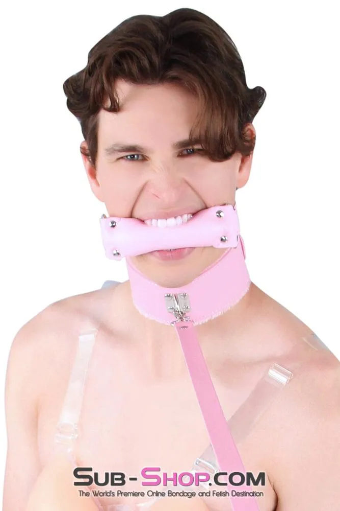 0536LT-SIS      Pink Furry Sissy Training Bondage Pretty Sissy Boi Slave Collar & Leash Set