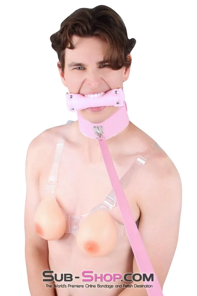 0536LT-SIS      Pink Furry Sissy Training Bondage Pretty Sissy Boi Slave Collar & Leash Set