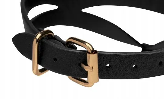 Black and Gold Collar with Leash Kit - One Size