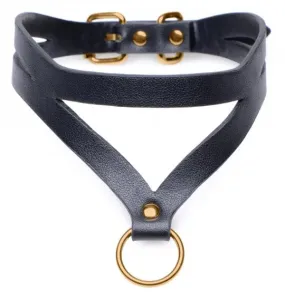 Black and Gold Collar with Leash Kit - One Size