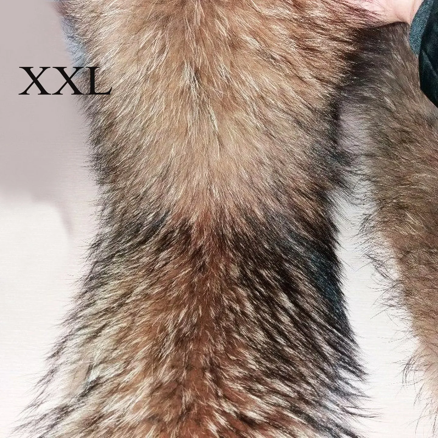 BY ORDER XXL Extra Large Finnish Raccoon Fur Collar, Fur Trim Hoodie, Raccoon Fur Collar, Fur Scarf, Fur Ruff, Raccoon Fur Hood, Raccoon Fur