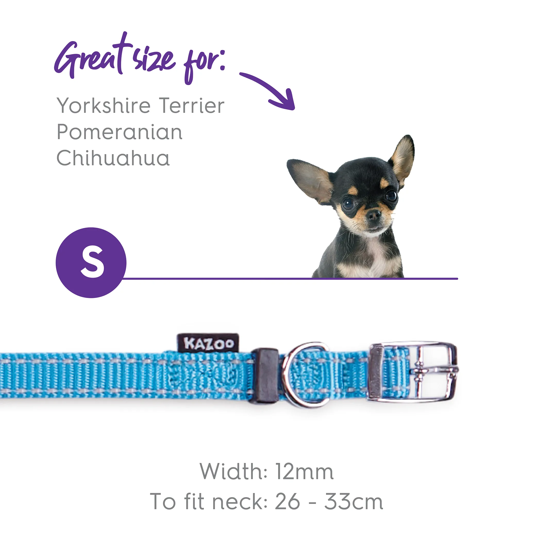 Classic Dog Collar - Aqua