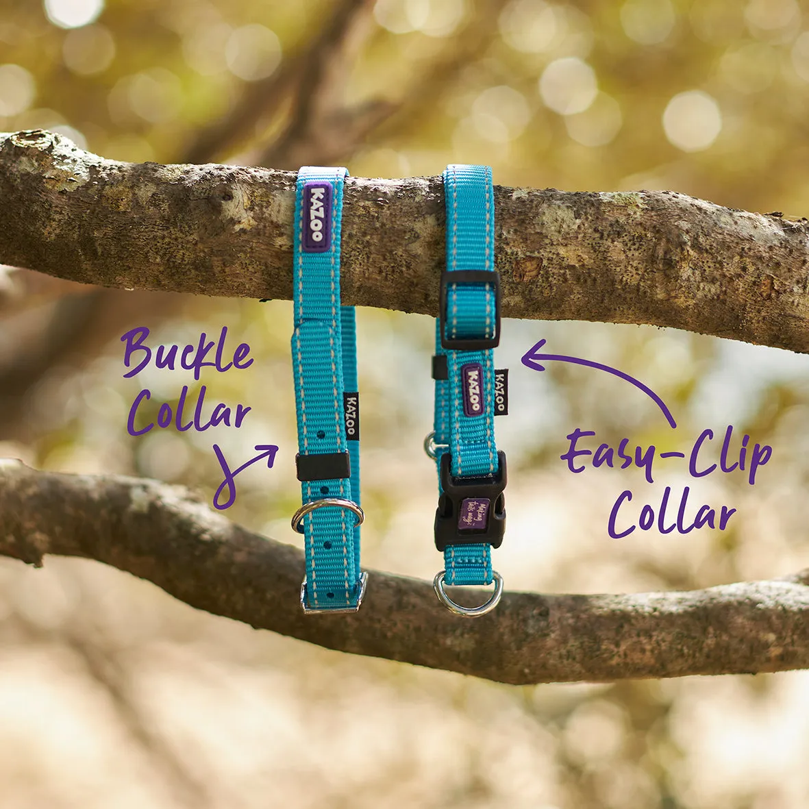 Classic Dog Collar - Aqua