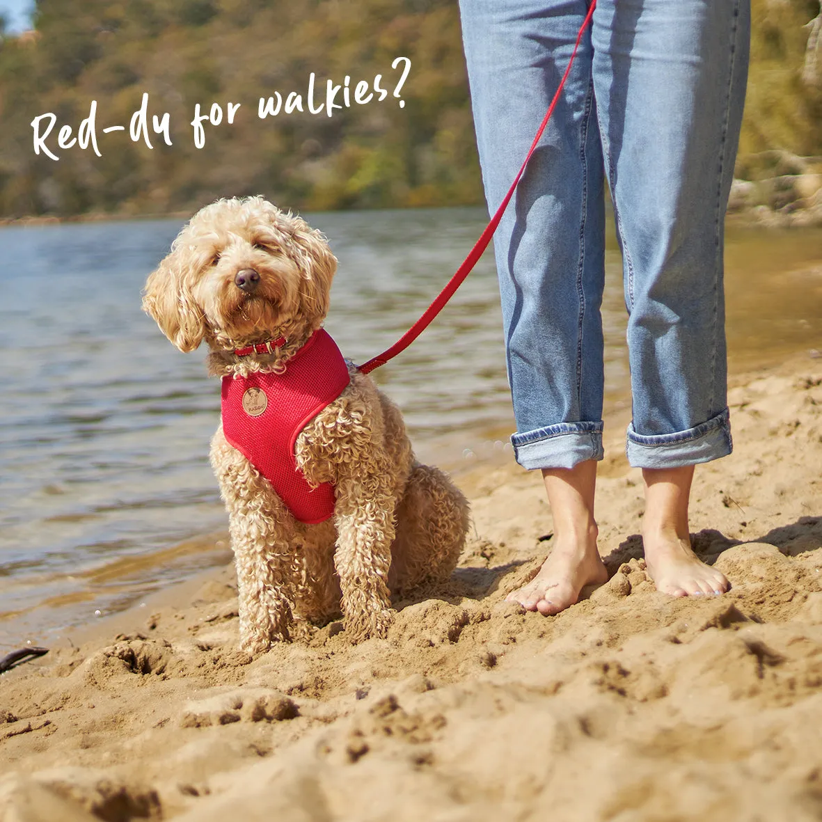 Classic Dog Collar - Red