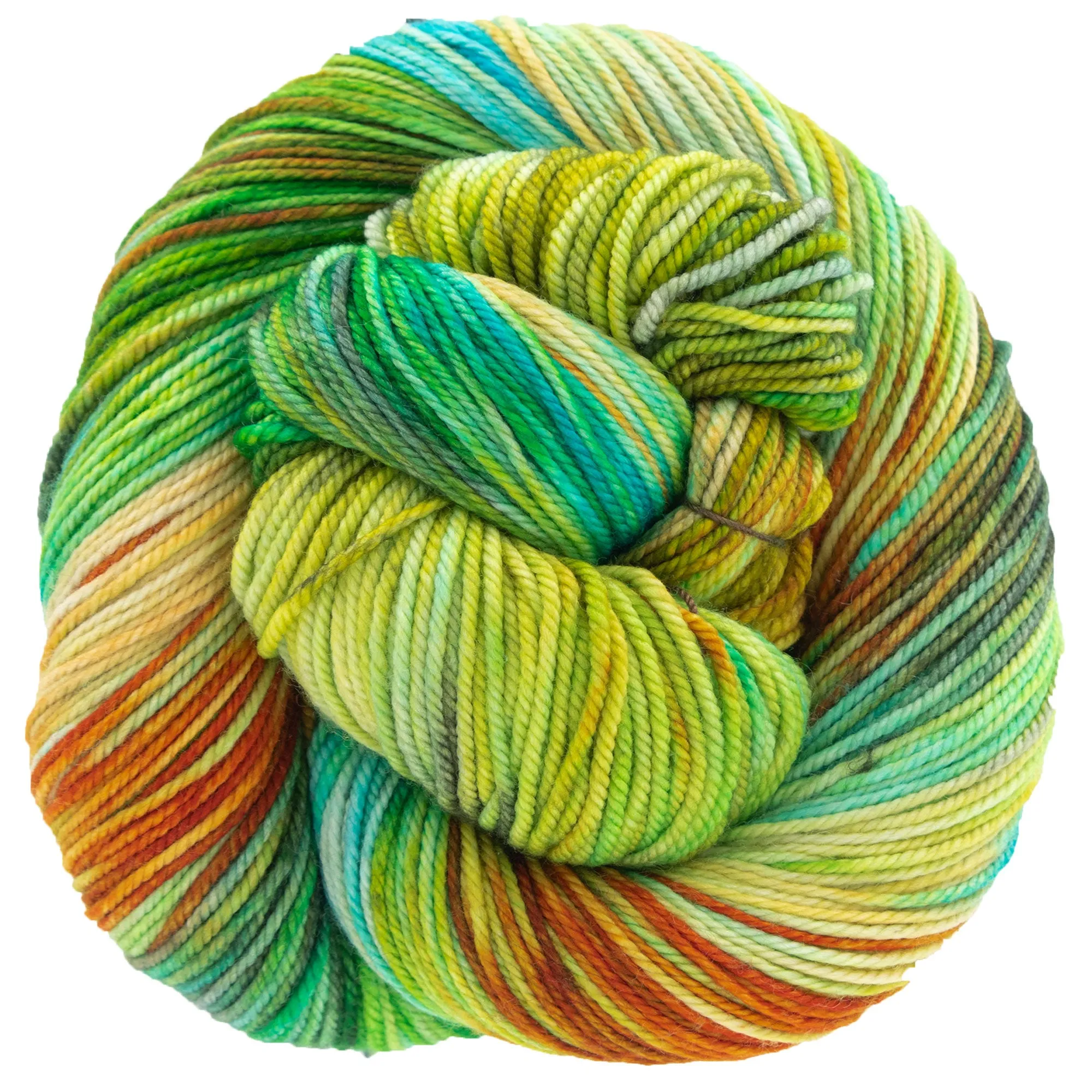 Dream in Color Cosette Yarn - Farmer's Market