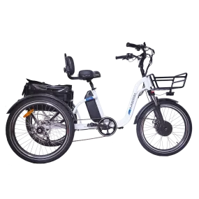 DWMEIGI Blazer MG2303 48V/16Ah 750W Electric Trike