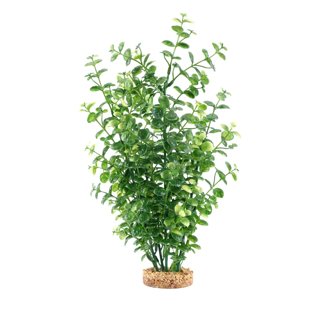 Fluval Aqualife Green Bacopa Plant