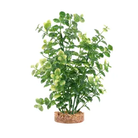 Fluval Aqualife Green Bacopa Plant