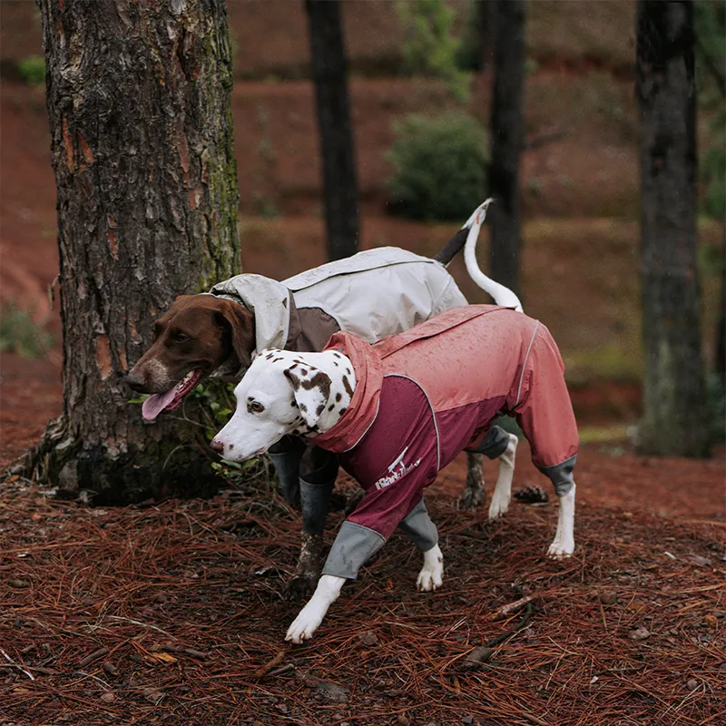 Four Leg Covered Dog Raincoat - Pink