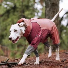 Four Leg Covered Dog Raincoat - Pink