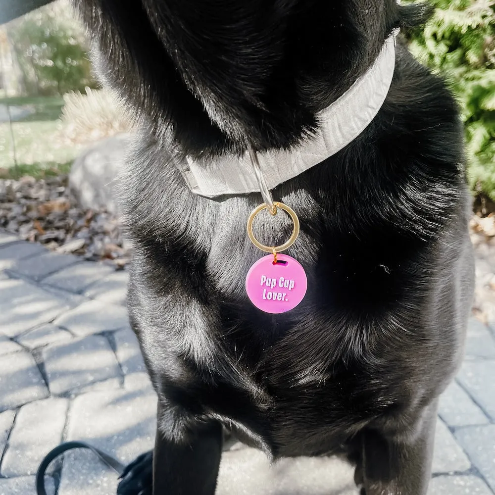 Gus & Co - Dog Tag and Keychain Set **PINK FRIDAY PREORDER