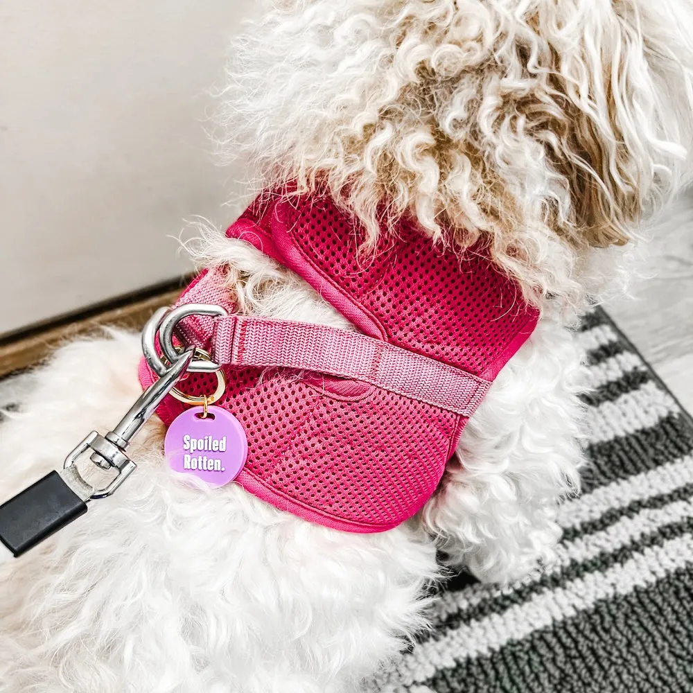 Gus & Co - Dog Tag and Keychain Set **PINK FRIDAY PREORDER