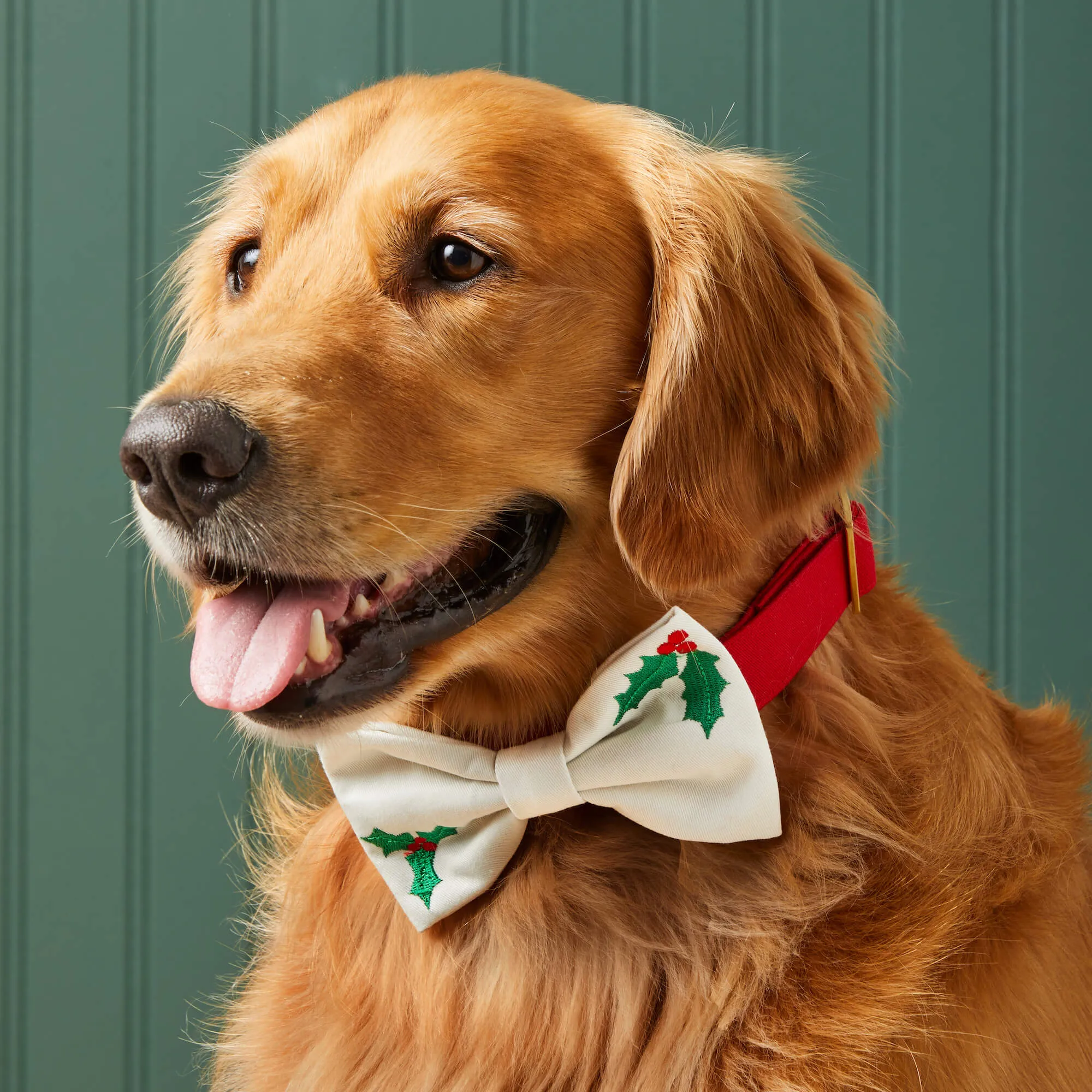 Holly Embroidered Bow Tie Collar