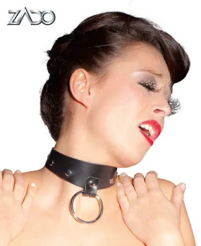 Leather Collar