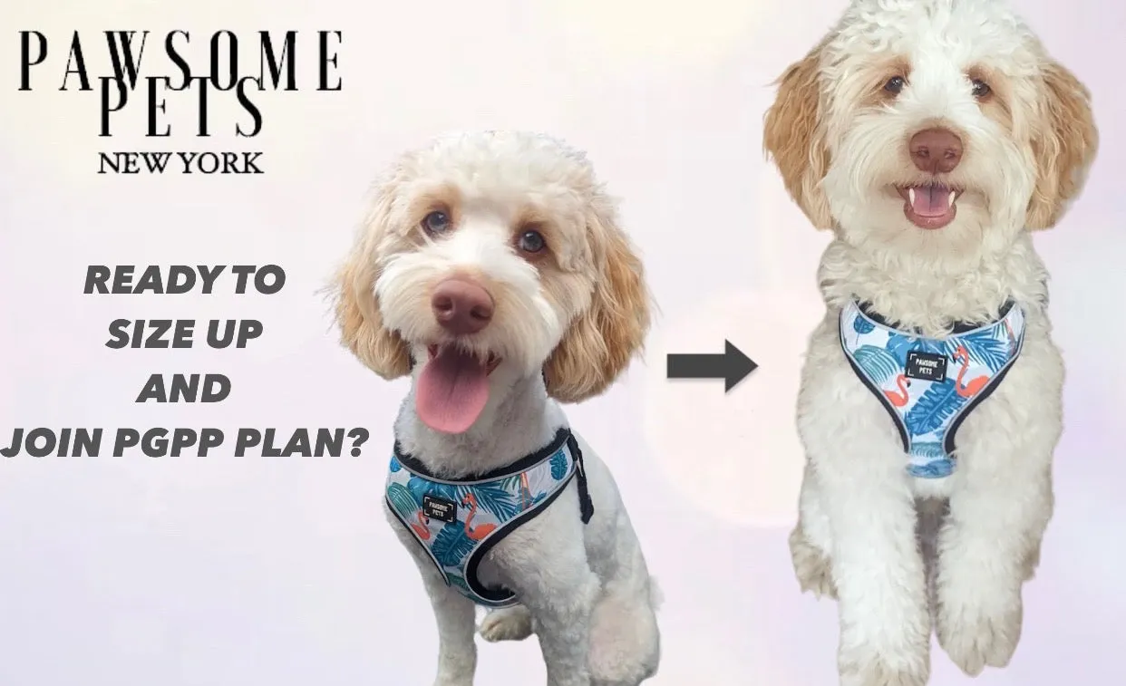 PAWSOME PETS NEW YORK PUPPY GROWTH PAWTECTION PLAN