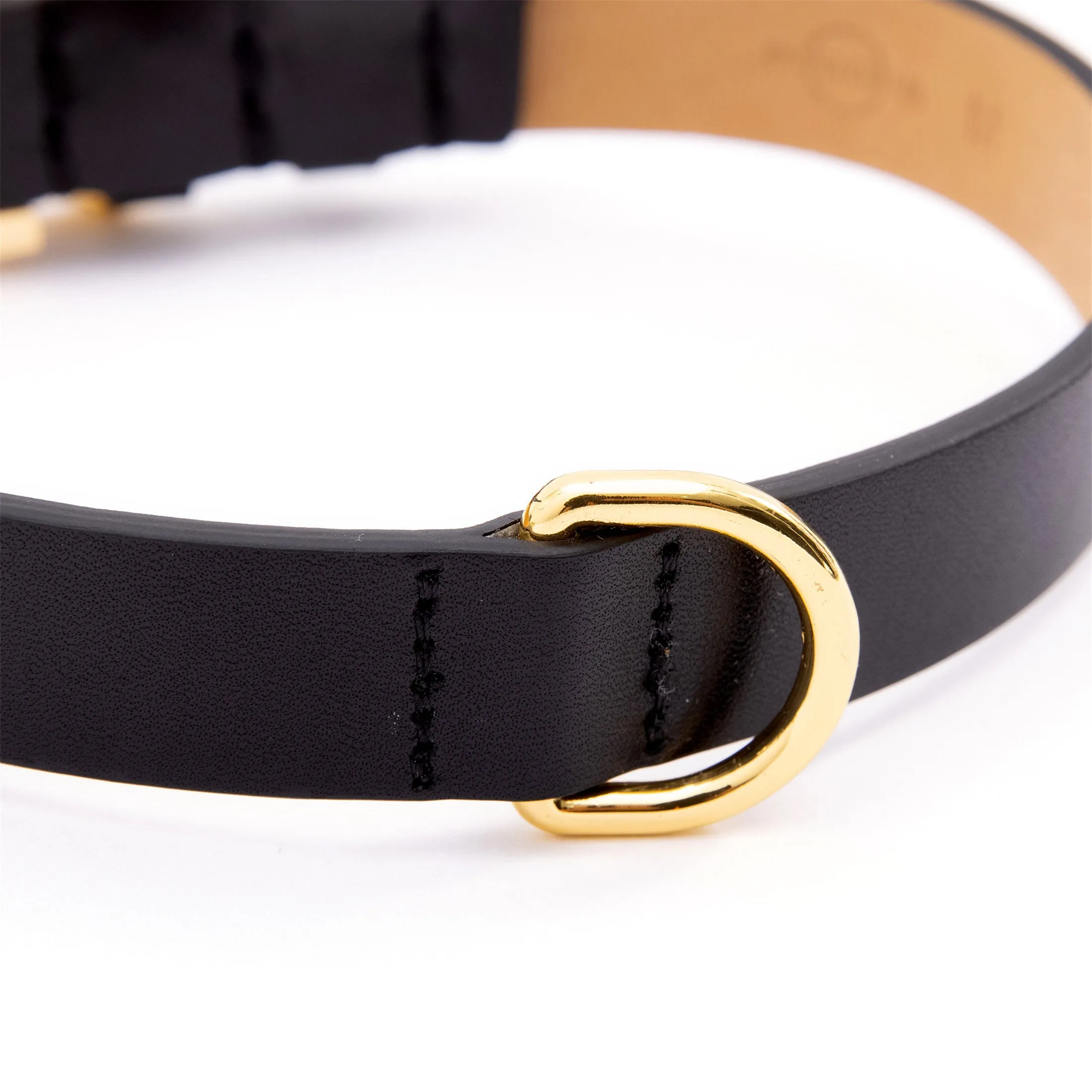 Premium Leather Collar