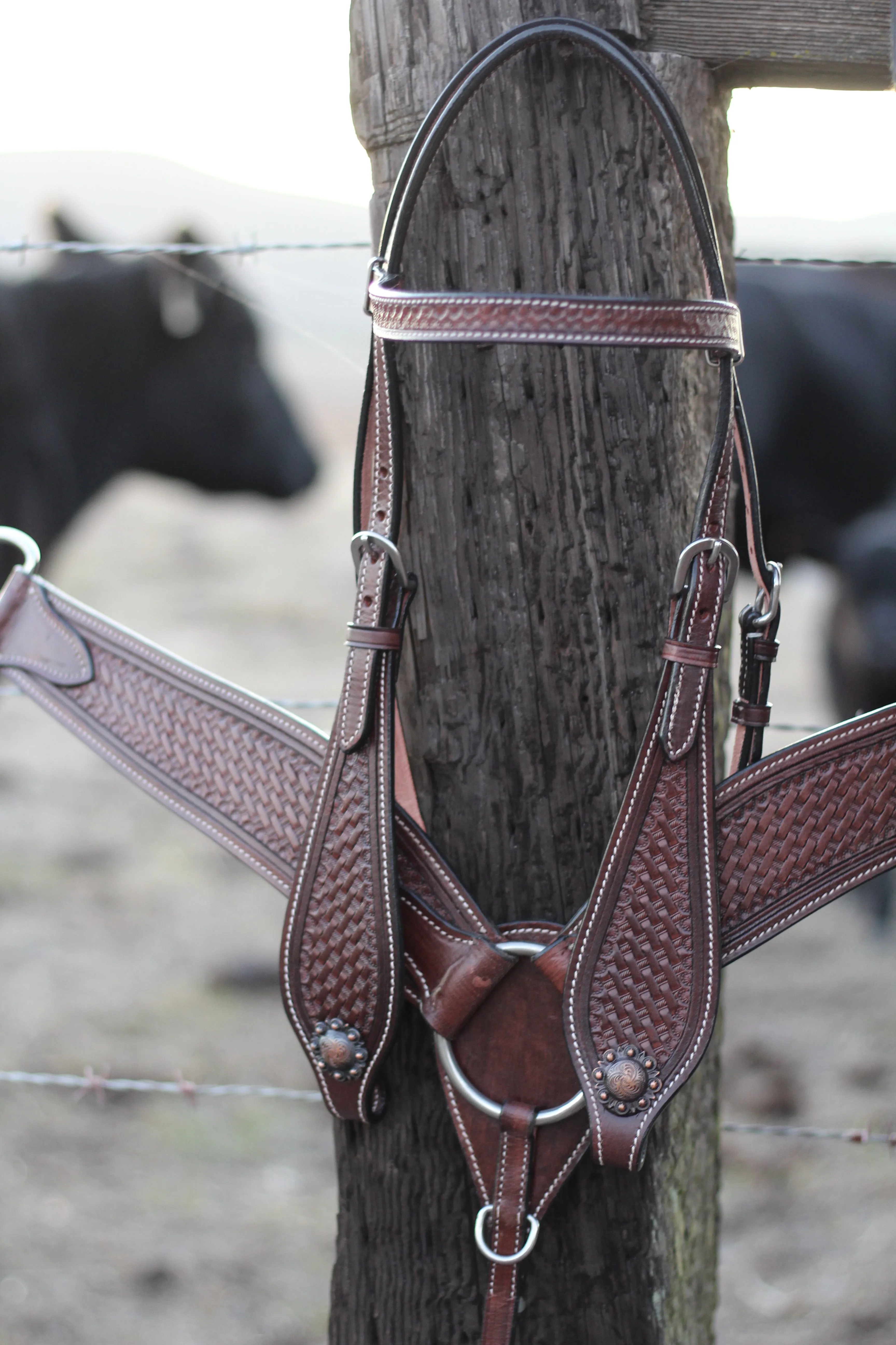 Range Rider Headstall Set