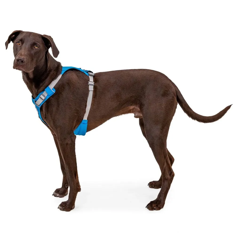 Ruffwear Hi & Light Lightweight Low-Profile Dog Harness (Blue Atoll)