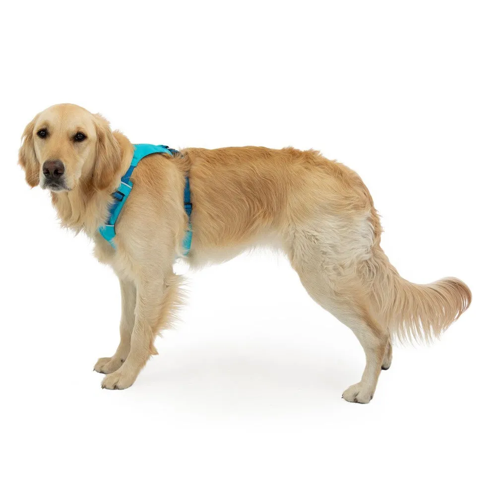 Ruffwear Hi & Light Lightweight Low-Profile Dog Harness (Blue Atoll)