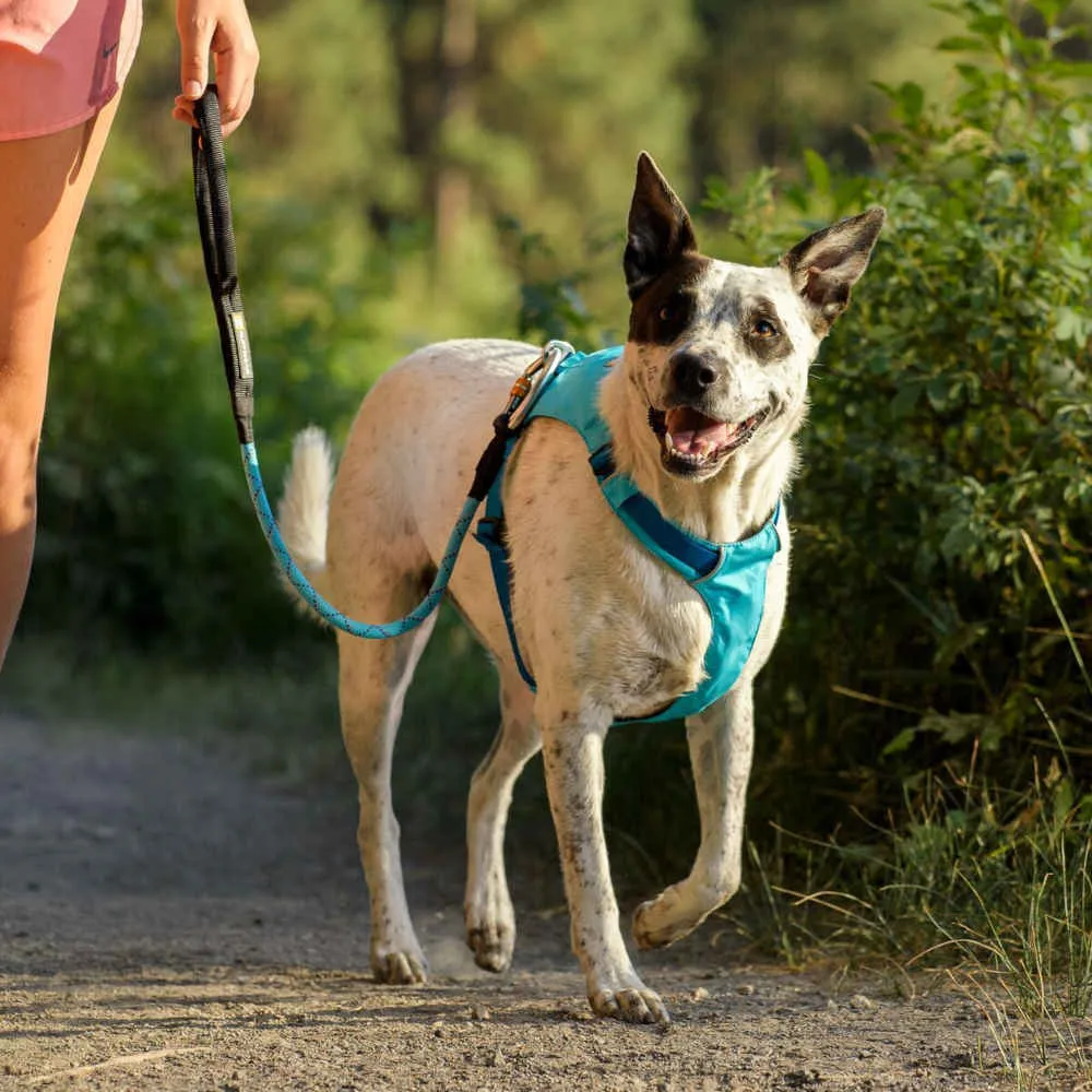 Ruffwear Hi & Light Lightweight Low-Profile Dog Harness (Blue Atoll)